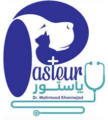 پاستور اهواز