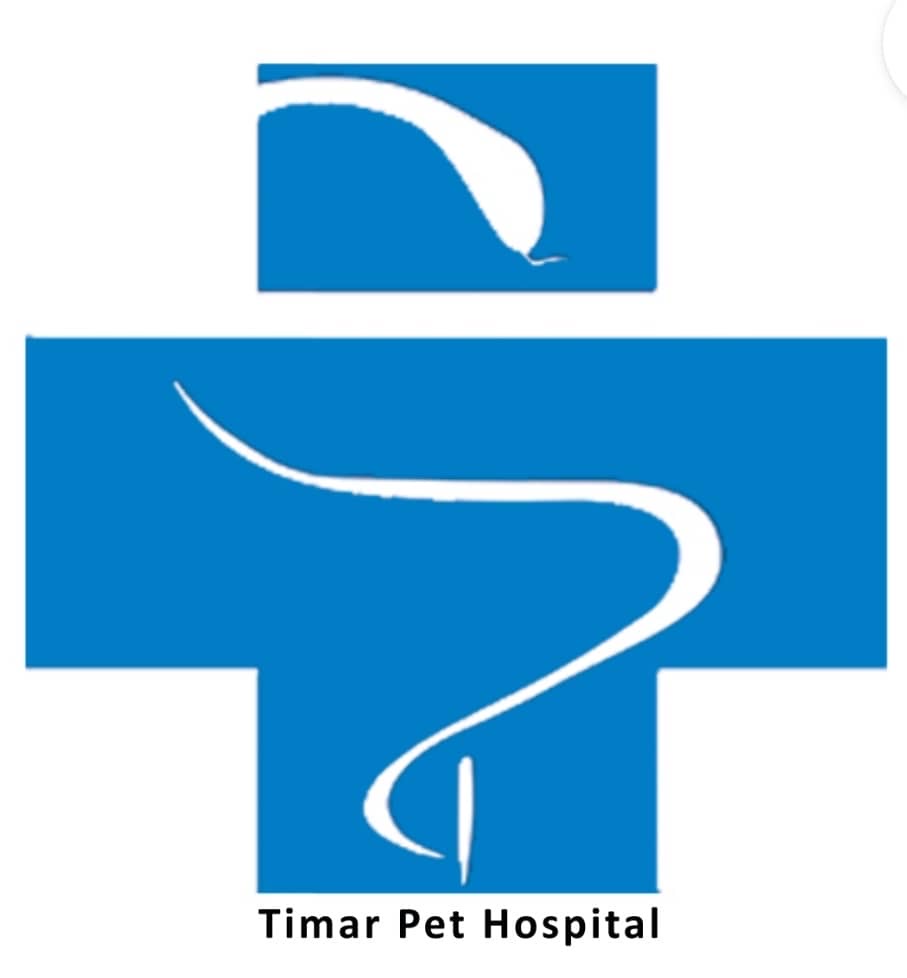 بیمارستان تخصصی حیوانات خانگی تیمار